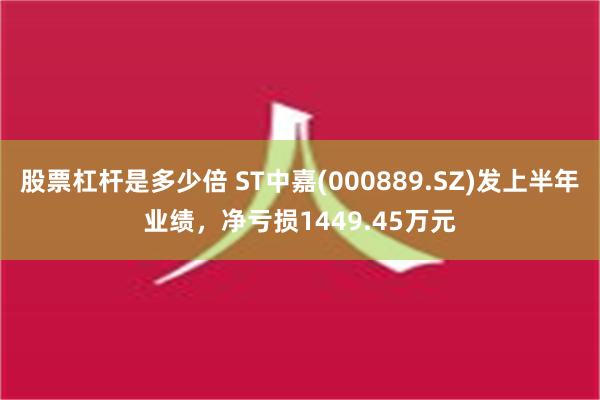 股票杠杆是多少倍 ST中嘉(000889.SZ)发上半年业绩，净亏损1449.45万元