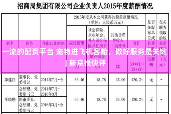 一流的配资平台 宠物进飞机客舱，做好服务是关键 | 新京报快评