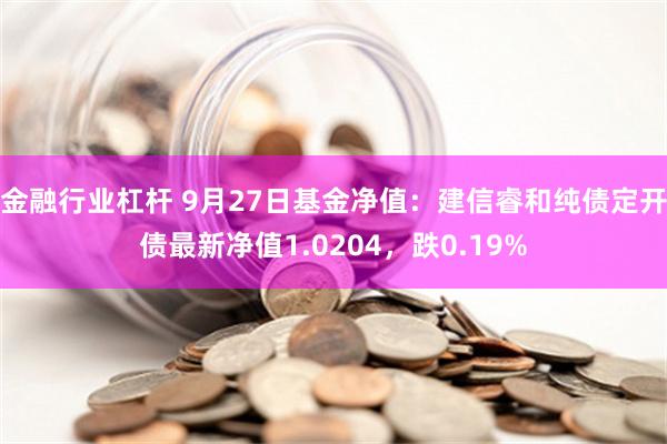 金融行业杠杆 9月27日基金净值：建信睿和纯债定开债最新净值1.0204，跌0.19%