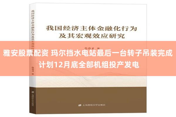 雅安股票配资 玛尔挡水电站最后一台转子吊装完成 计划12月底全部机组投产发电