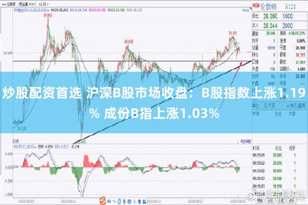 炒股配资首选 沪深B股市场收盘：B股指数上涨1.19% 成份B指上涨1.03%