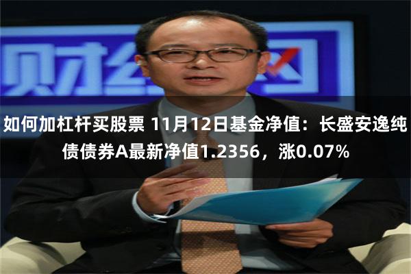 如何加杠杆买股票 11月12日基金净值：长盛安逸纯债债券A最新净值1.2356，涨0.07%