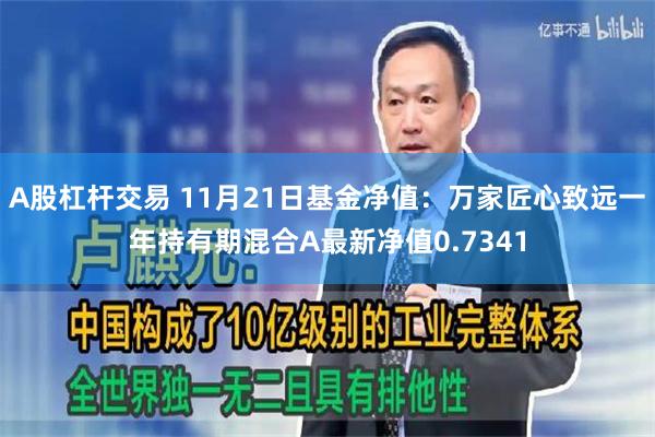 A股杠杆交易 11月21日基金净值：万家匠心致远一年持有期混合A最新净值0.7341