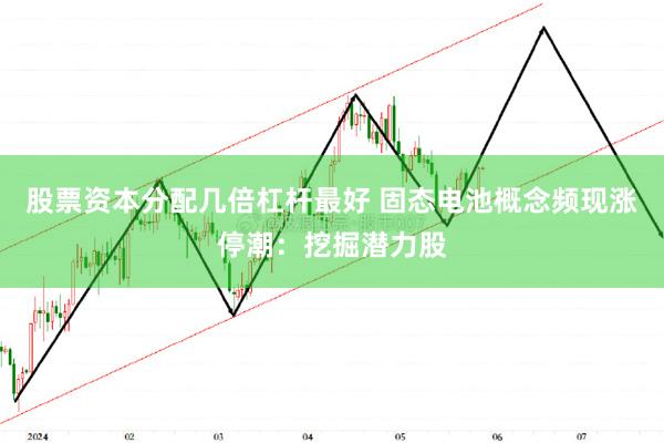 股票资本分配几倍杠杆最好 固态电池概念频现涨停潮：挖掘潜力股