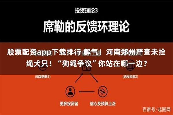 股票配资app下载排行 解气！河南郑州严查未拴绳犬只！“狗绳争议”你站在哪一边？