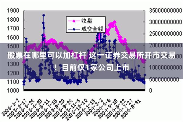 股票在哪里可以加杠杆 这一证券交易所开市交易！目前仅1家公司上市