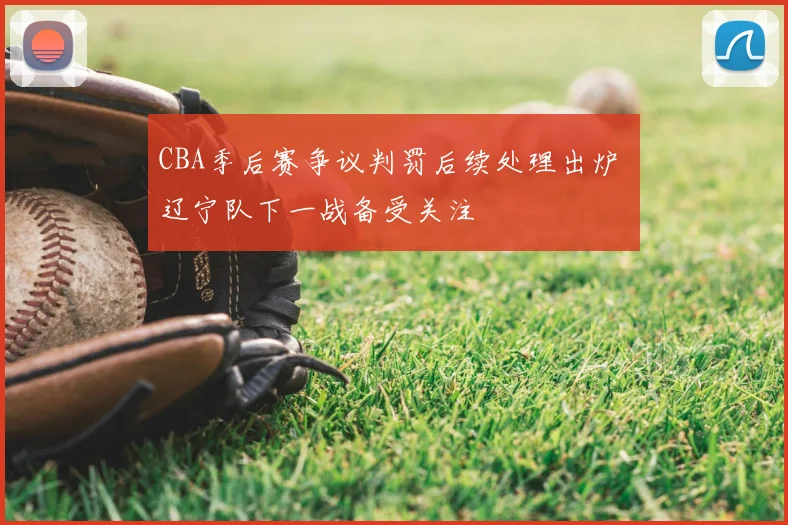 CBA季后赛争议判罚后续处理出炉 辽宁队下一战备受关注