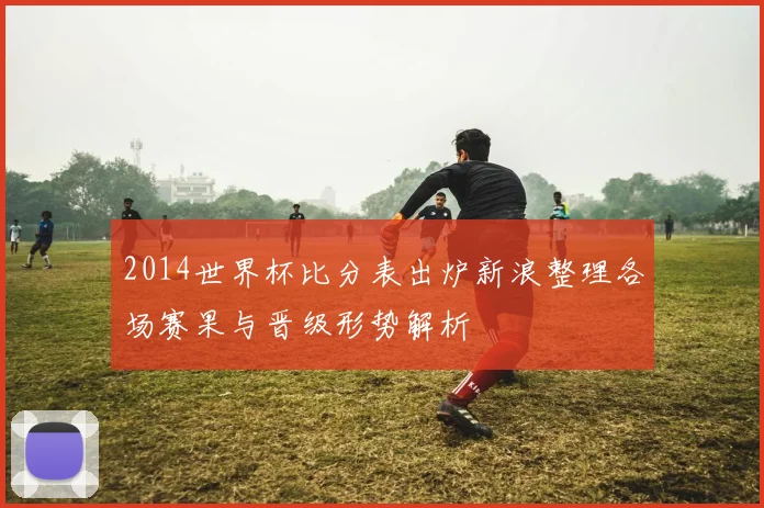 2014世界杯比分表出炉新浪整理各场赛果与晋级形势解析