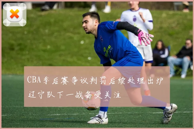 CBA季后赛争议判罚后续处理出炉 辽宁队下一战备受关注