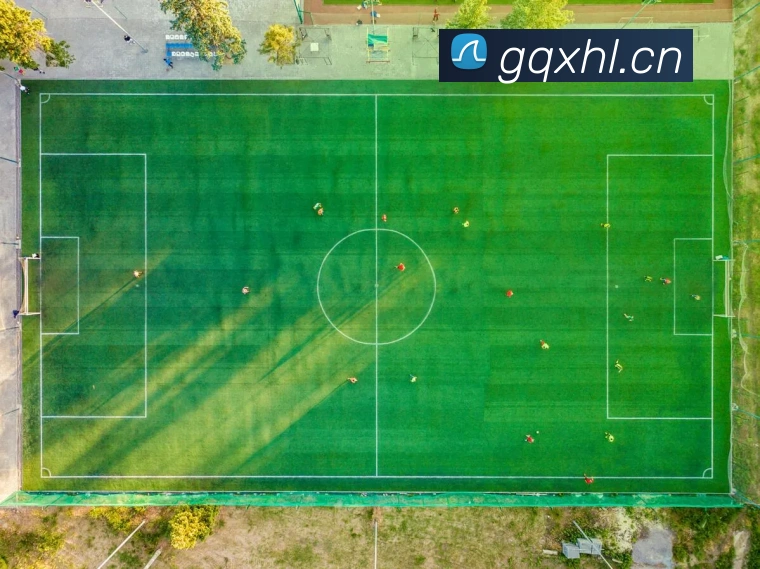 熊猫网官网首页平台生态图