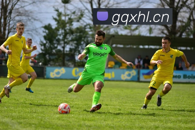 熊猫网官网首页APP 封面图